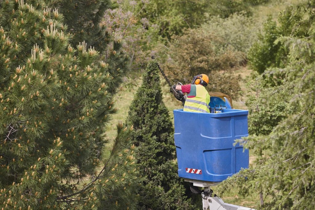 StubGroup Generates 53% More Leads for Friendly Tree Service